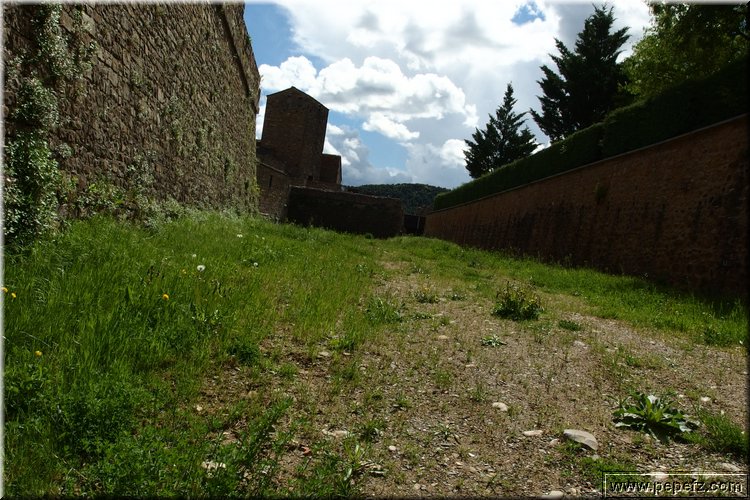 P4220427.JPG