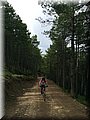 IMG_9283.JPG