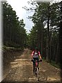 IMG_9284.JPG
