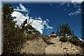 P4220431.JPG