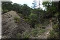P4220441.JPG