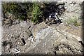 P4220451.JPG