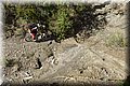 P4220458.JPG