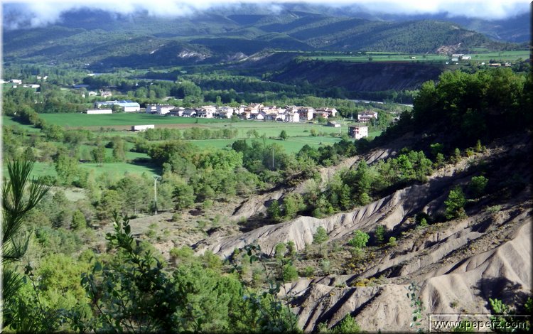 zona 0 138.jpg