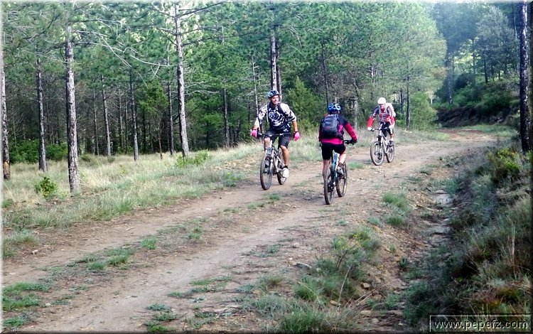 zona 0 144.jpg