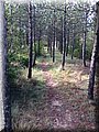 IMG_9248.JPG