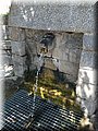 IMG_9275.JPG