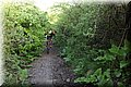 P4220279.JPG