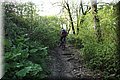 P4220287.JPG
