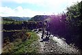 P4220315.JPG