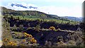 P4220316.JPG