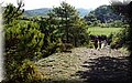 P4220318.JPG
