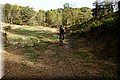 P4220325.JPG