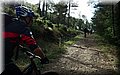 P4220327.JPG