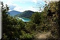 P4220378.JPG