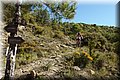 P4220380.JPG