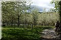 P4220391.JPG