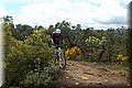 P4220404.JPG