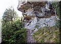 P4220408.JPG