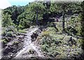 P4220411.JPG