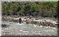 P4220415.JPG