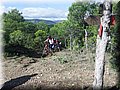 zona 0 148.jpg