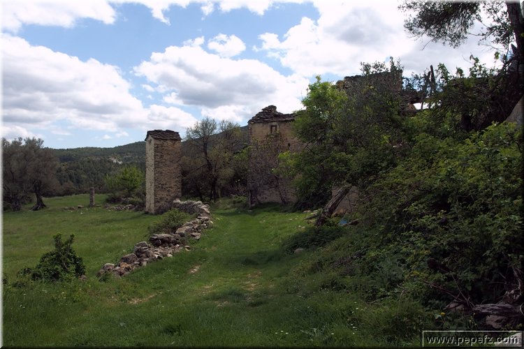 P4230569.JPG