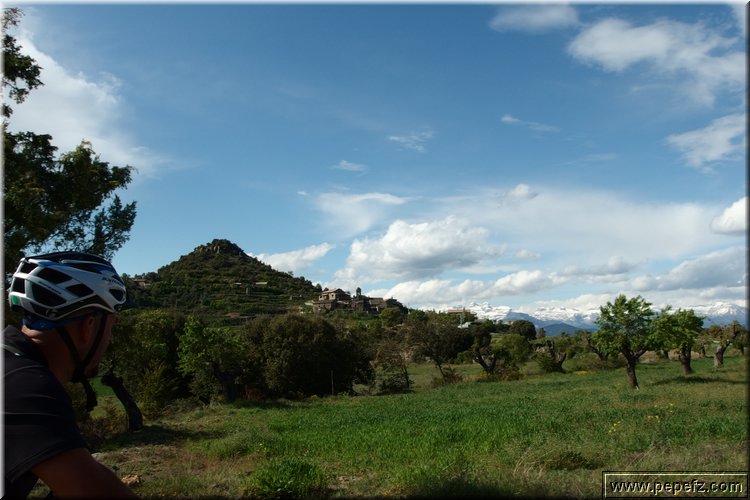 P4230574.JPG