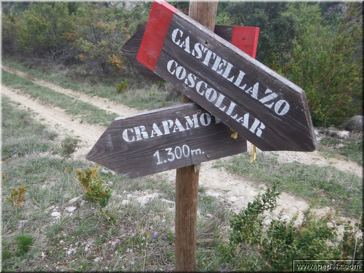 zona 0 376.jpg
