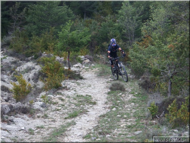 zona 0 379.jpg