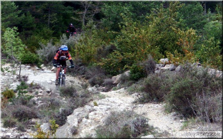 zona 0 388.jpg