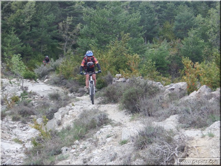 zona 0 389.jpg