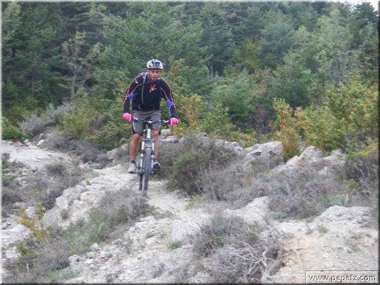 zona 0 392.jpg