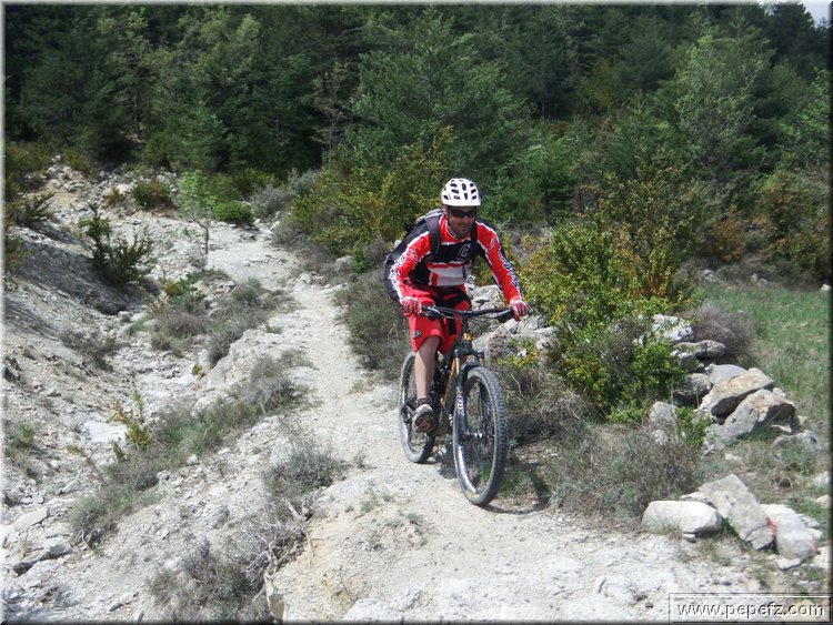 zona 0 403.jpg