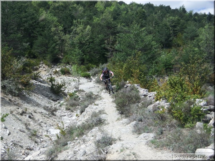 zona 0 404.jpg