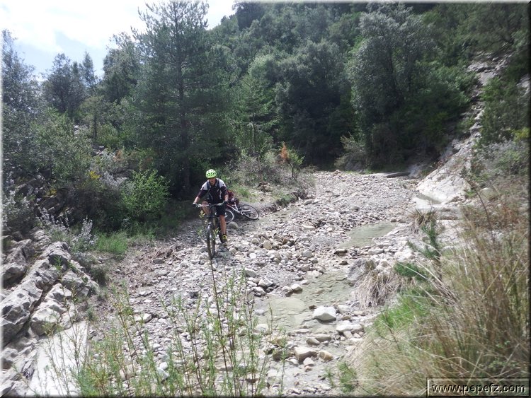 zona 0 417.jpg