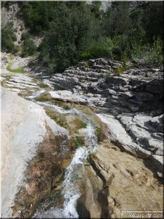 zona 0 423.jpg