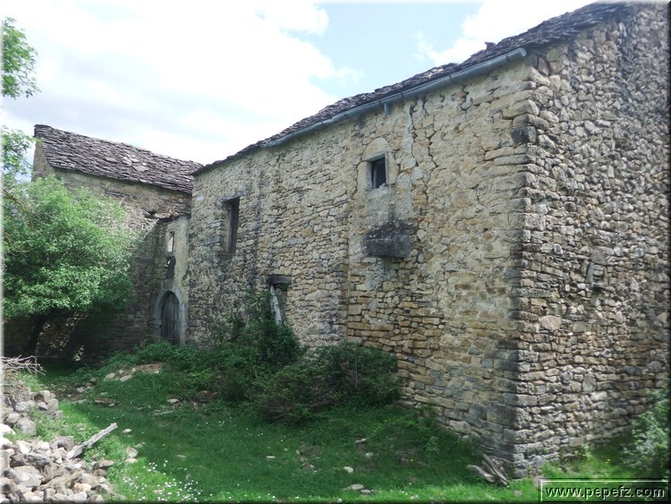zona 0 442.jpg