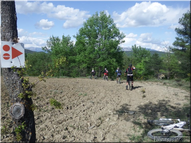 zona 0 463.jpg