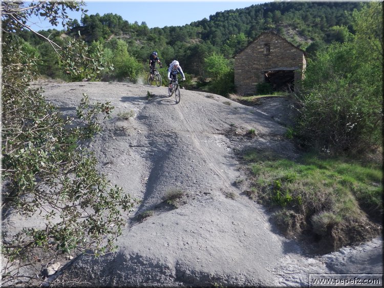 zona 0 465.jpg