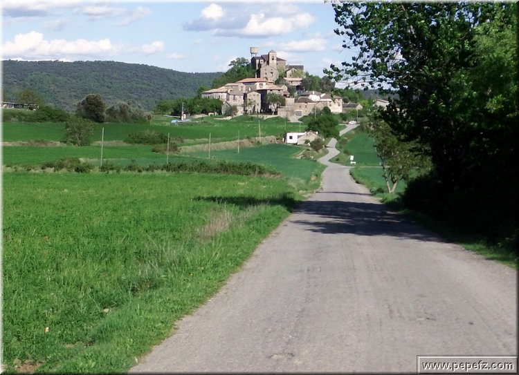 zona 0 477.jpg