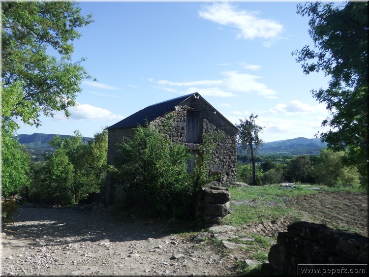 zona 0 480.jpg
