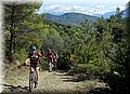 IMG_8099.JPG