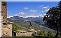 IMG_8111.JPG