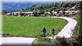 IMG_8153.JPG