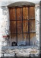 P4230480.JPG