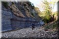 P4230492.JPG