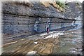 P4230499.JPG