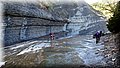 P4230501.JPG