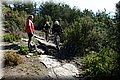 P4230506.JPG